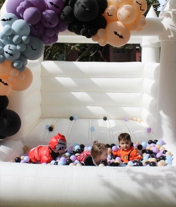 Mini Castle with Ball Pit