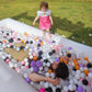 Classic Castle with Ball Pit